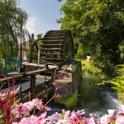 Le Clos Saint Vincent Manneville-ès-Plains Esterno foto